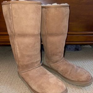 Classic Tall Chestnut Ugg Boots